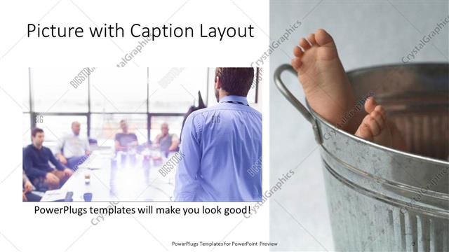 Picture with Caption presentation slide layout