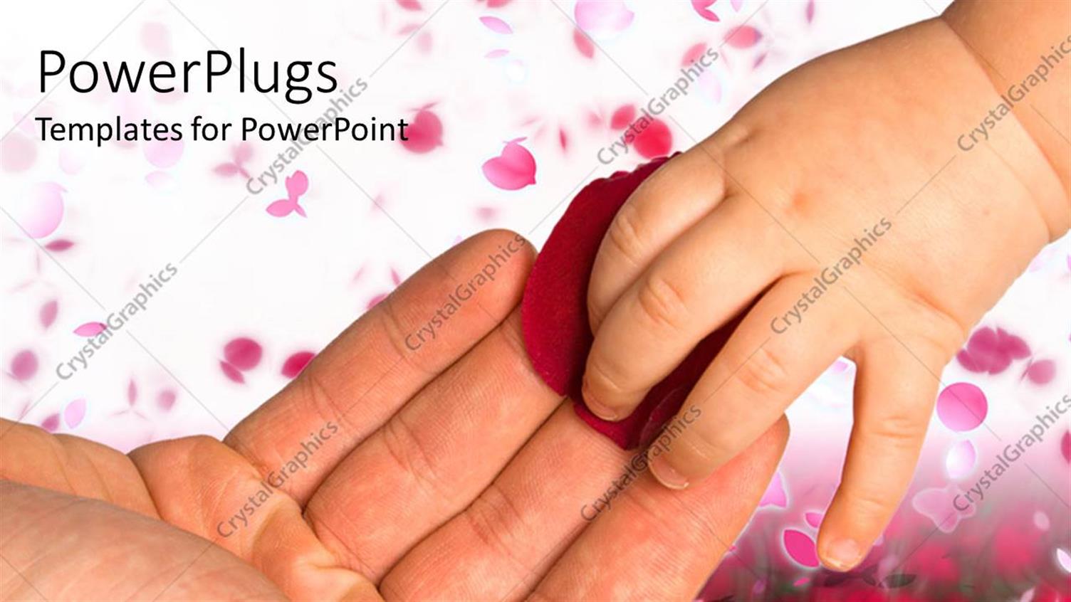 Featuring Babys Hand Taking a Red Rose Petal from an Adult Hand