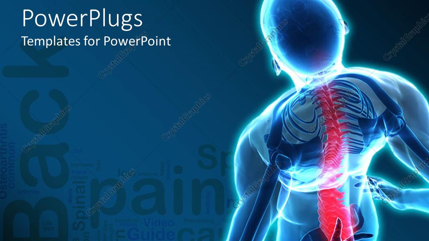 Premium Template for PowerPoint & Google Slides 