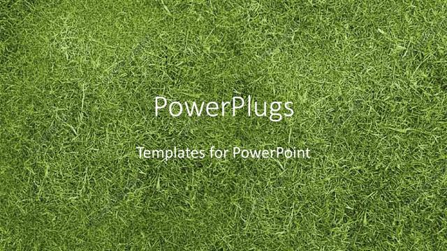  Presentation with grass - The background full of grass with place for text