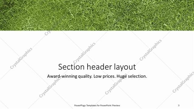 Section Header presentation slide layout