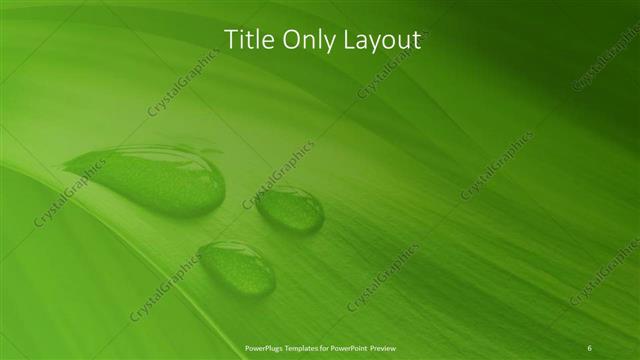 Title Only presentation slide layout