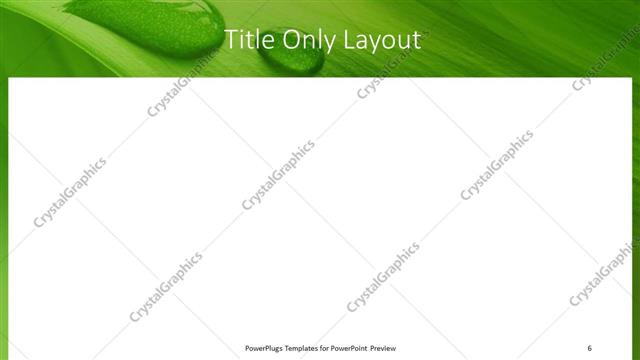 Title Only presentation slide layout