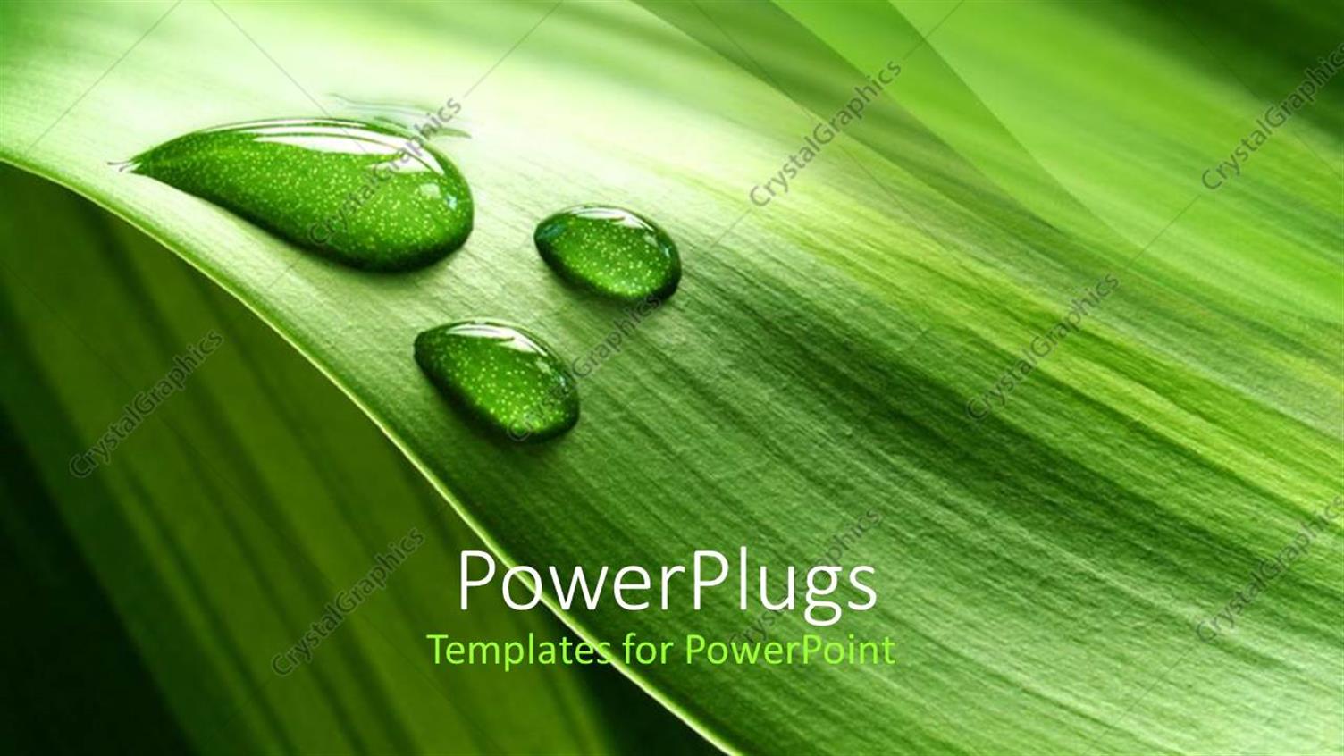 Premium Template for PowerPoint & Google Slides 