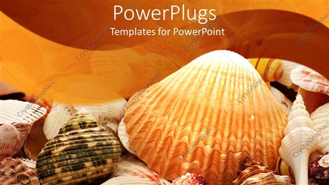  Presentation with starfish - A background of sea shells and starfish of different colors