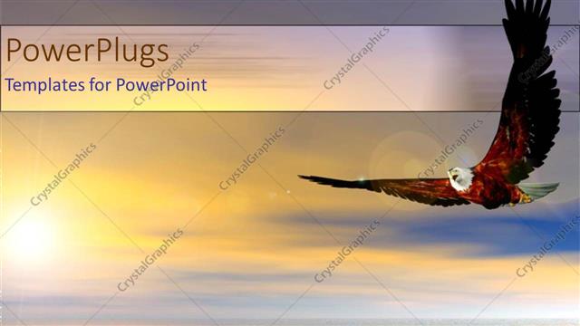  Presentation with flying - Bald eagle bird flying above ocean sunset as a metaphor