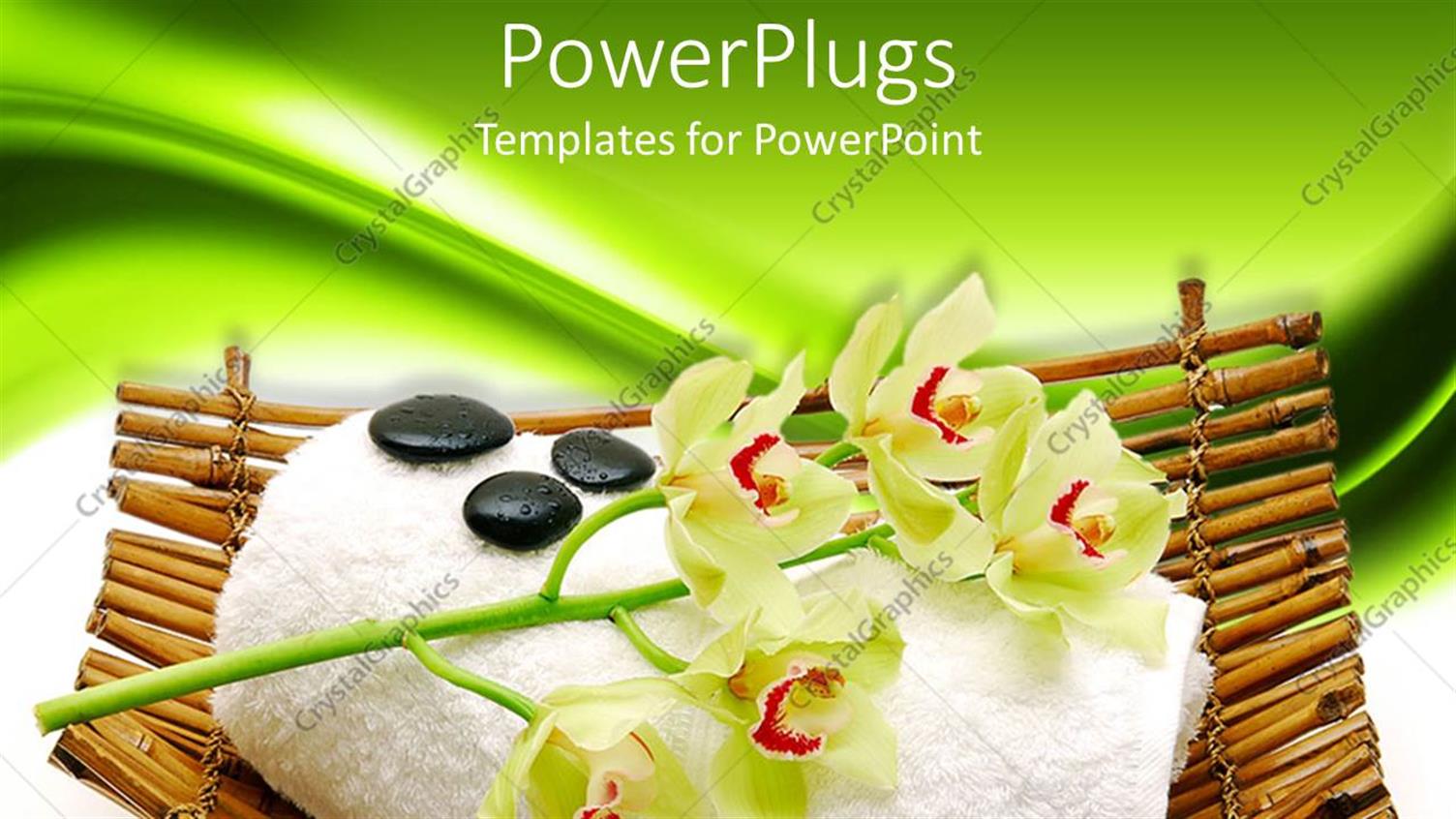 Premium Template for PowerPoint & Google Slides 