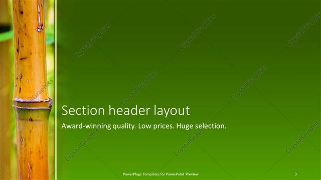 Section Header presentation slide layout