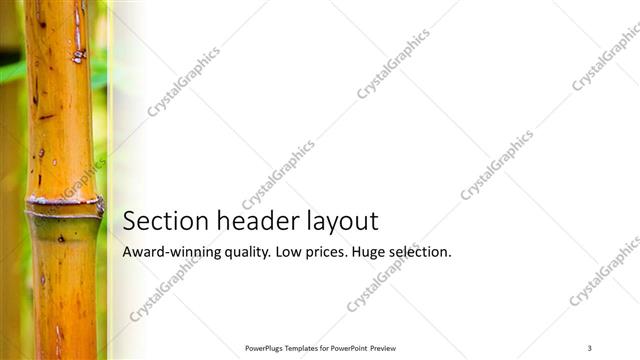Section Header presentation slide layout