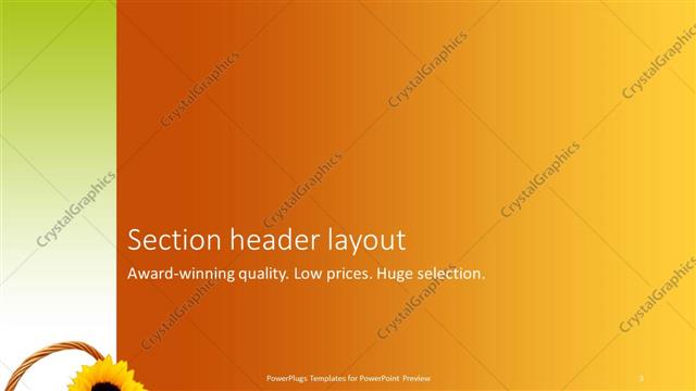 Section Header presentation slide layout