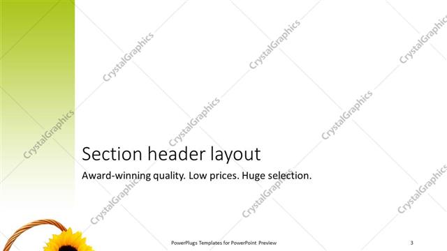 Section Header presentation slide layout