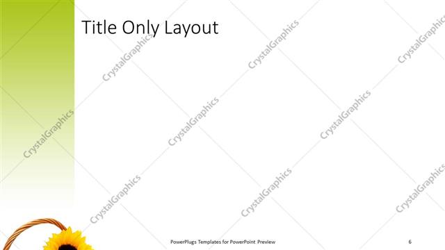 Title Only presentation slide layout