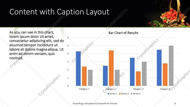 Content with Caption presentation slide layout