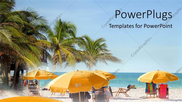  Presentation with palm beach - Beach chairs, umbrellas, palm trees by ocean