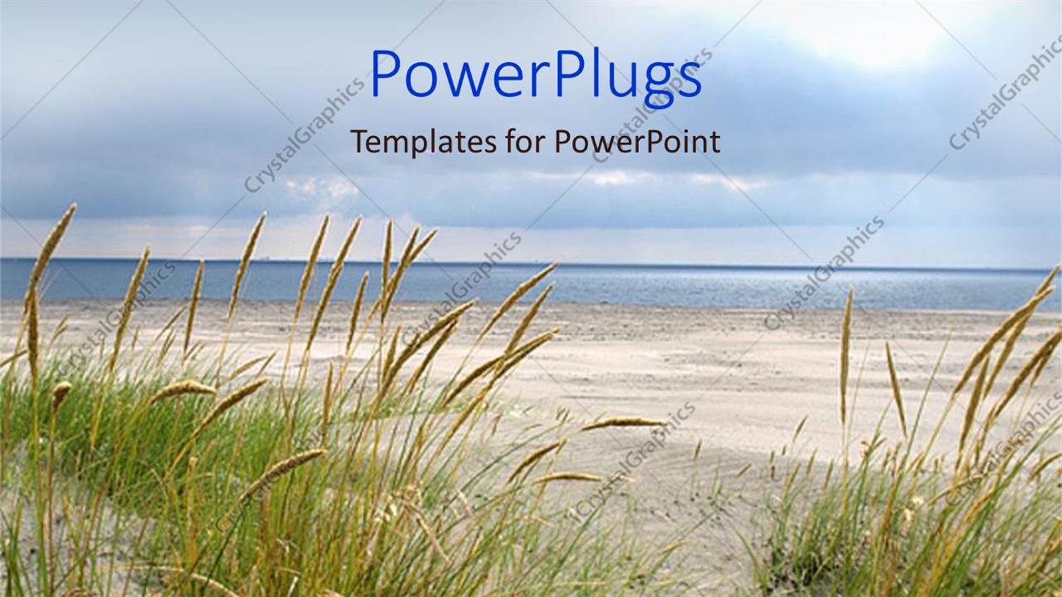 Premium Template for PowerPoint & Google Slides 