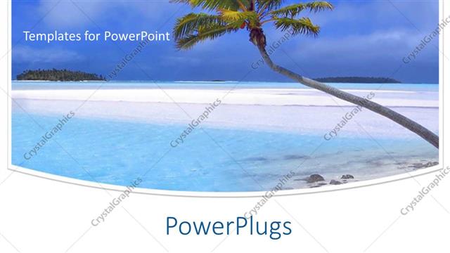  Presentation with palm tree - Beach with a tall leaning palm tree on the shore