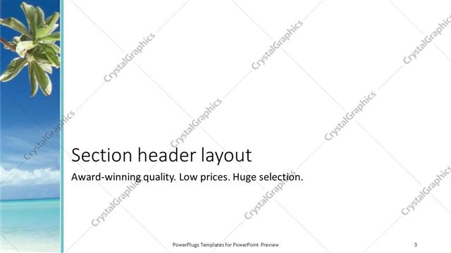 Section Header presentation slide layout
