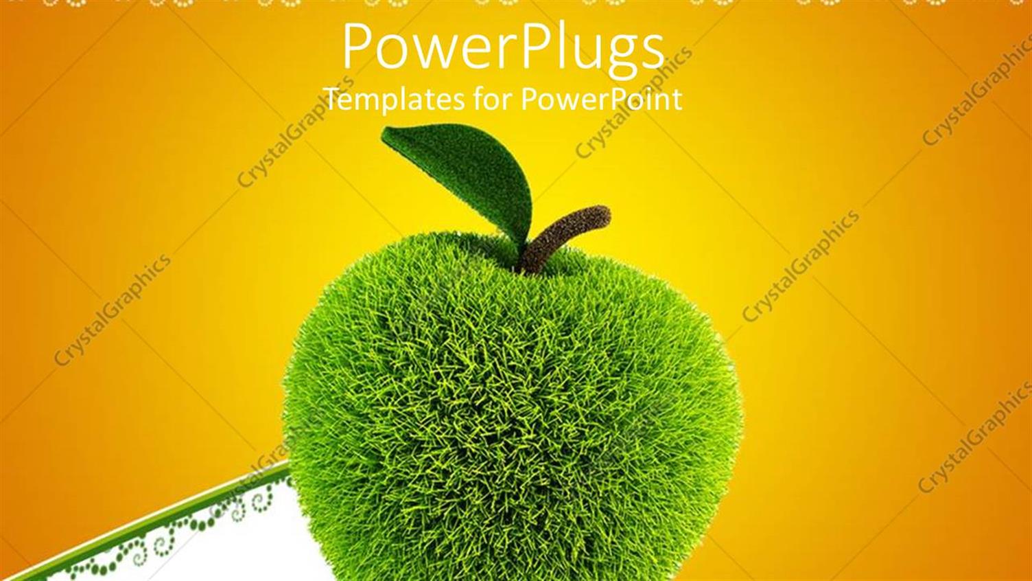 Premium Template for PowerPoint & Google Slides 