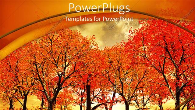  Presentation with orange - Beautiful autumn trees landscape on an orange background