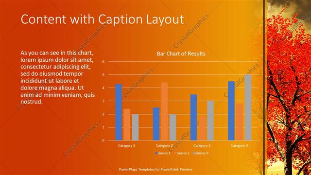 Content with Caption presentation slide layout