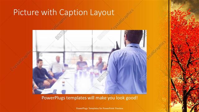 Picture with Caption presentation slide layout
