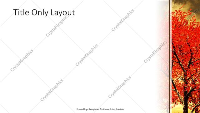 Title Only presentation slide layout