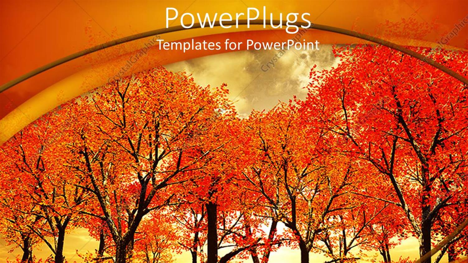 Premium Template for PowerPoint & Google Slides 