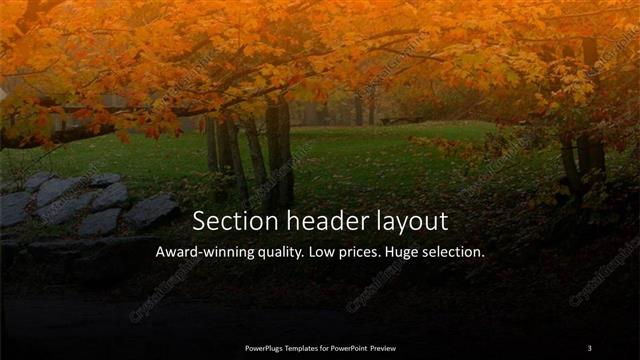 Section Header presentation slide layout