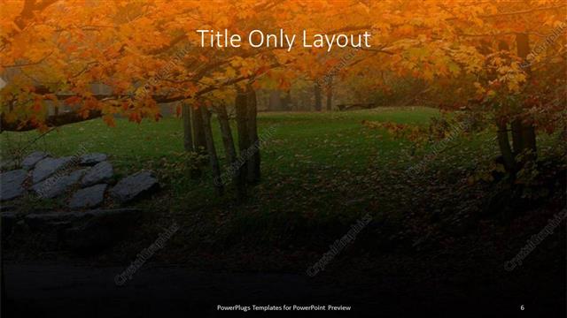 Title Only presentation slide layout