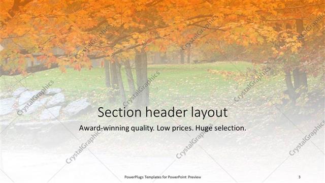Section Header presentation slide layout