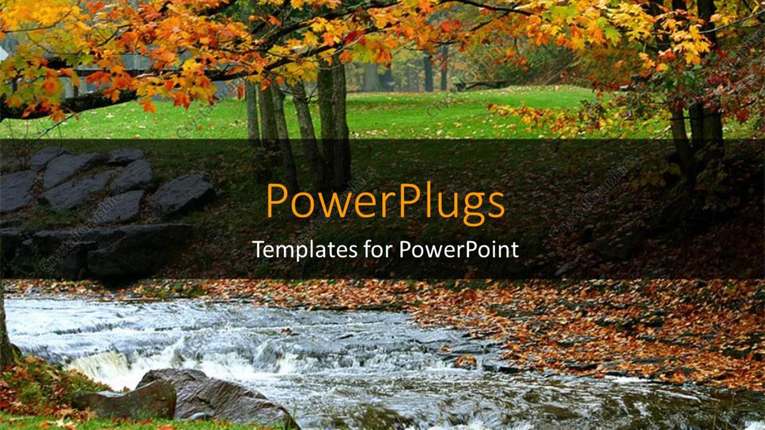 Premium Template for PowerPoint & Google Slides 
