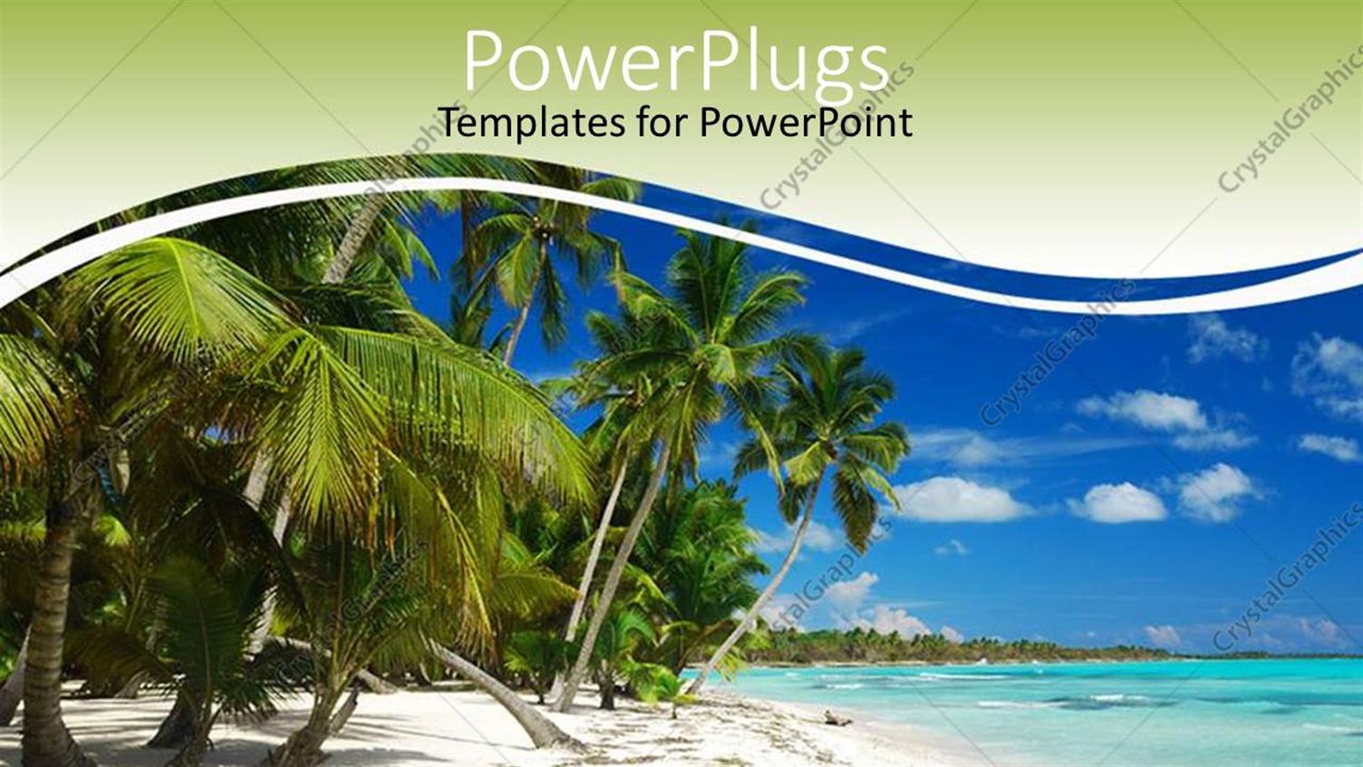 Featuring a Beautiful Beach with a Lot of Palm Trees and Ocean