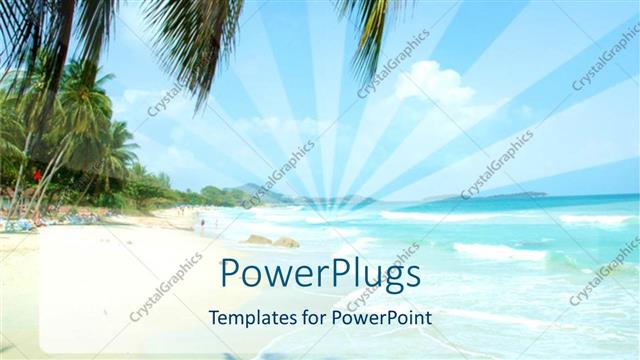  Presentation with palm beach - A beautiful beach with a number of palm trees