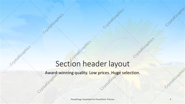 Section Header presentation slide layout