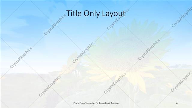 Title Only presentation slide layout