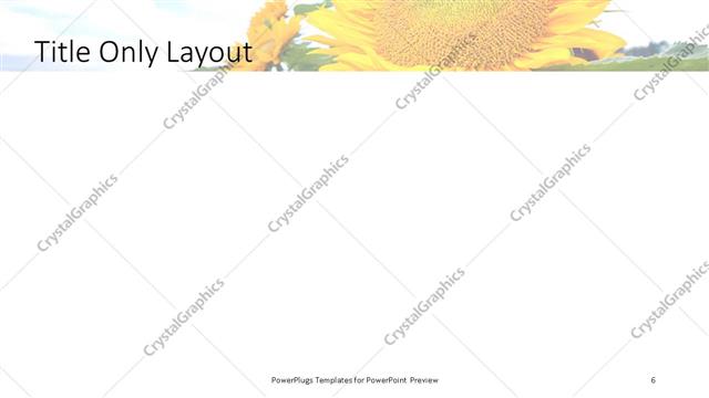 Title Only presentation slide layout