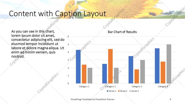 Content with Caption presentation slide layout