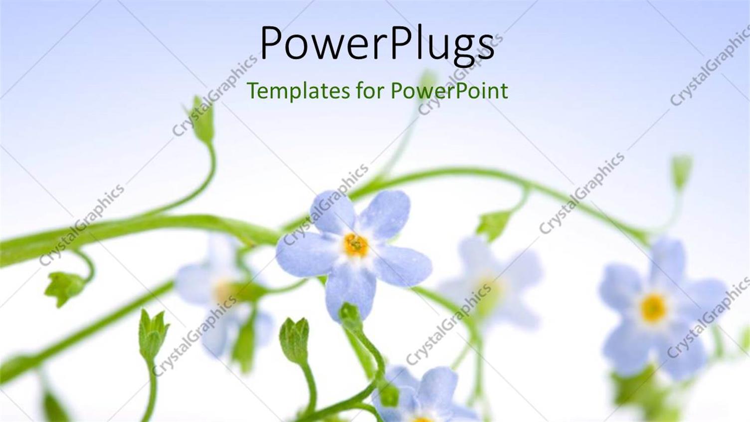 Premium Template for PowerPoint & Google Slides 