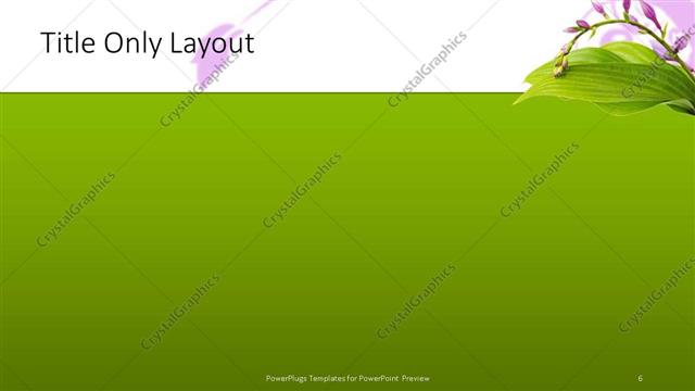 Title Only presentation slide layout