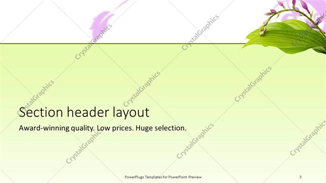 Section Header presentation slide layout