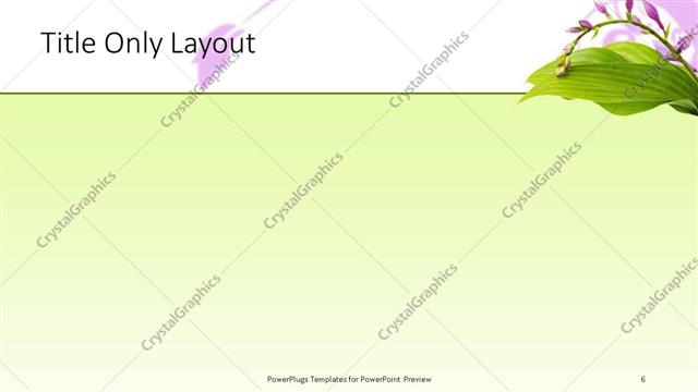 Title Only presentation slide layout