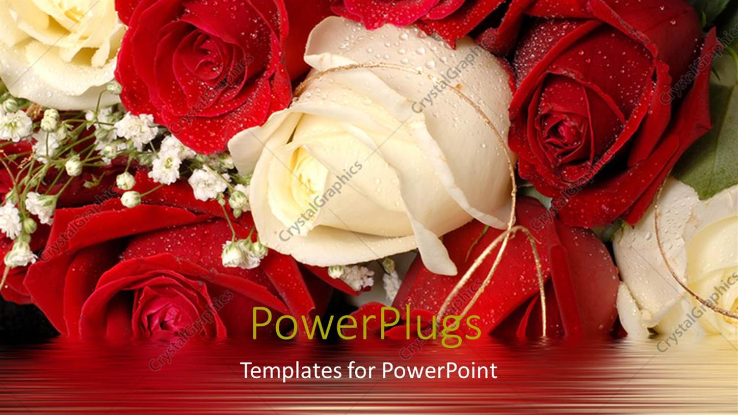 Premium Template for PowerPoint & Google Slides 