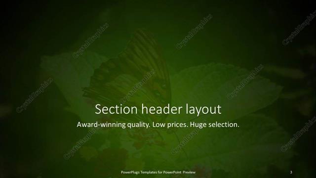 Section Header presentation slide layout