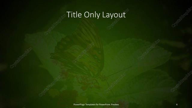 Title Only presentation slide layout