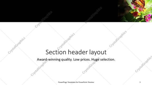Section Header presentation slide layout