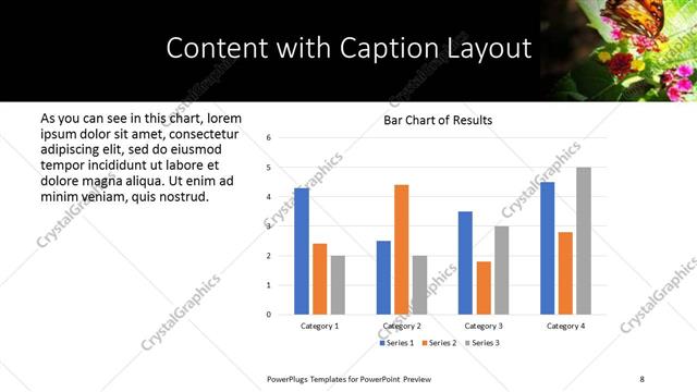 Content with Caption presentation slide layout