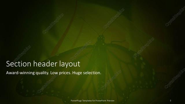 Section Header presentation slide layout