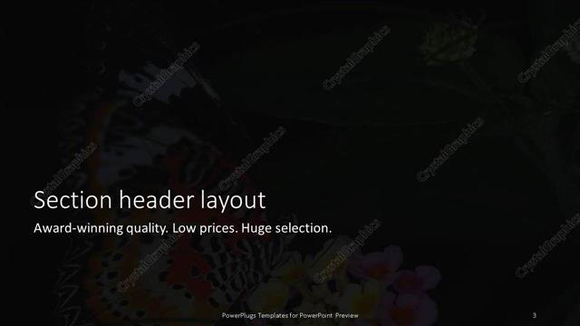 Section Header presentation slide layout
