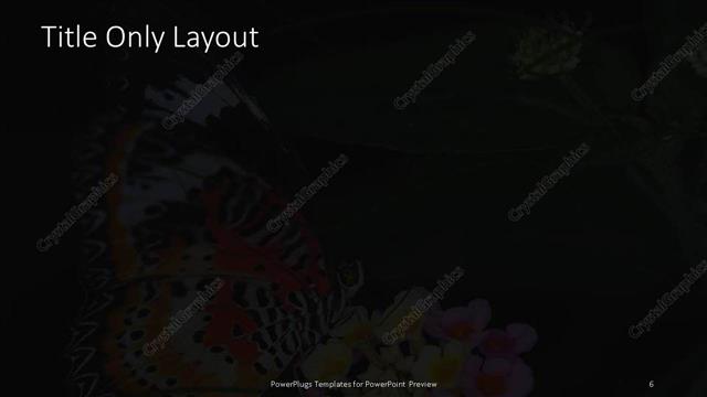 Title Only presentation slide layout