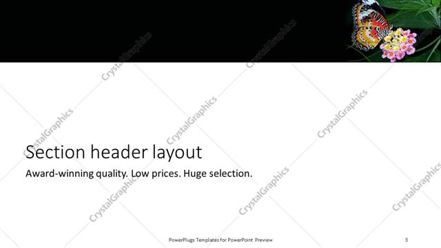 Section Header presentation slide layout